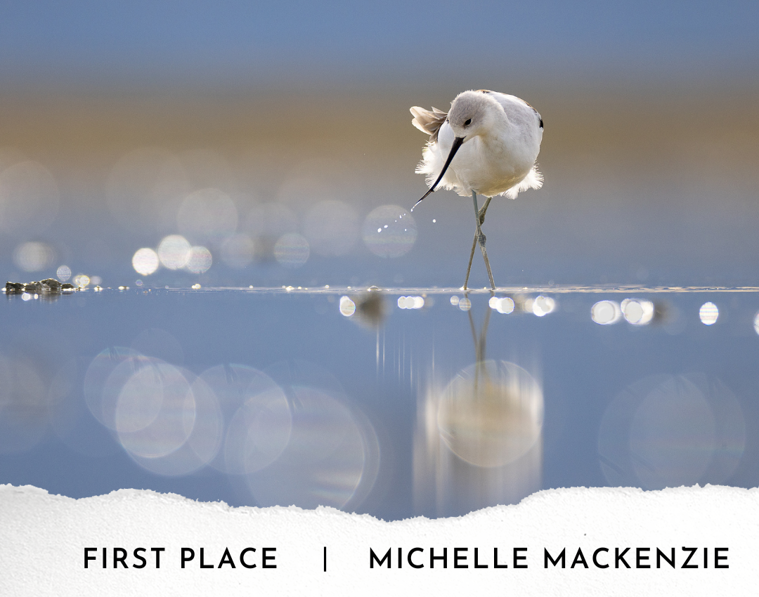 2023 Photo Contest-First Place-Michelle-Mackenzie
