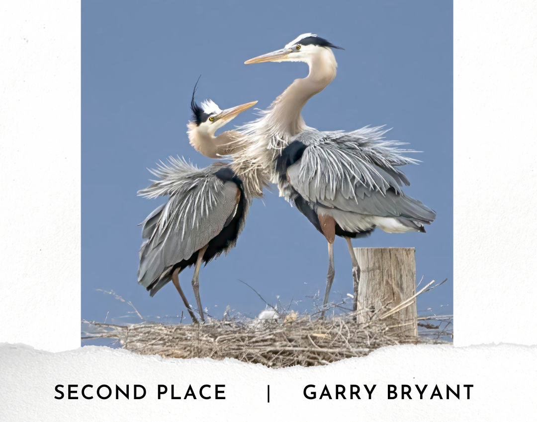 2023 Photo Contest-Second Place-Garry-Bryant