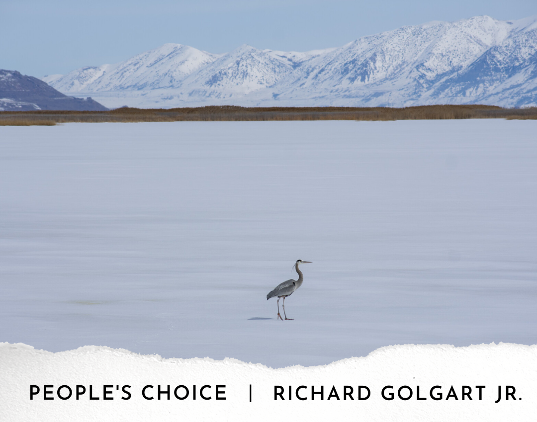 2023 Photo Contest-People's Choice-Richard-Golgart-Jr
