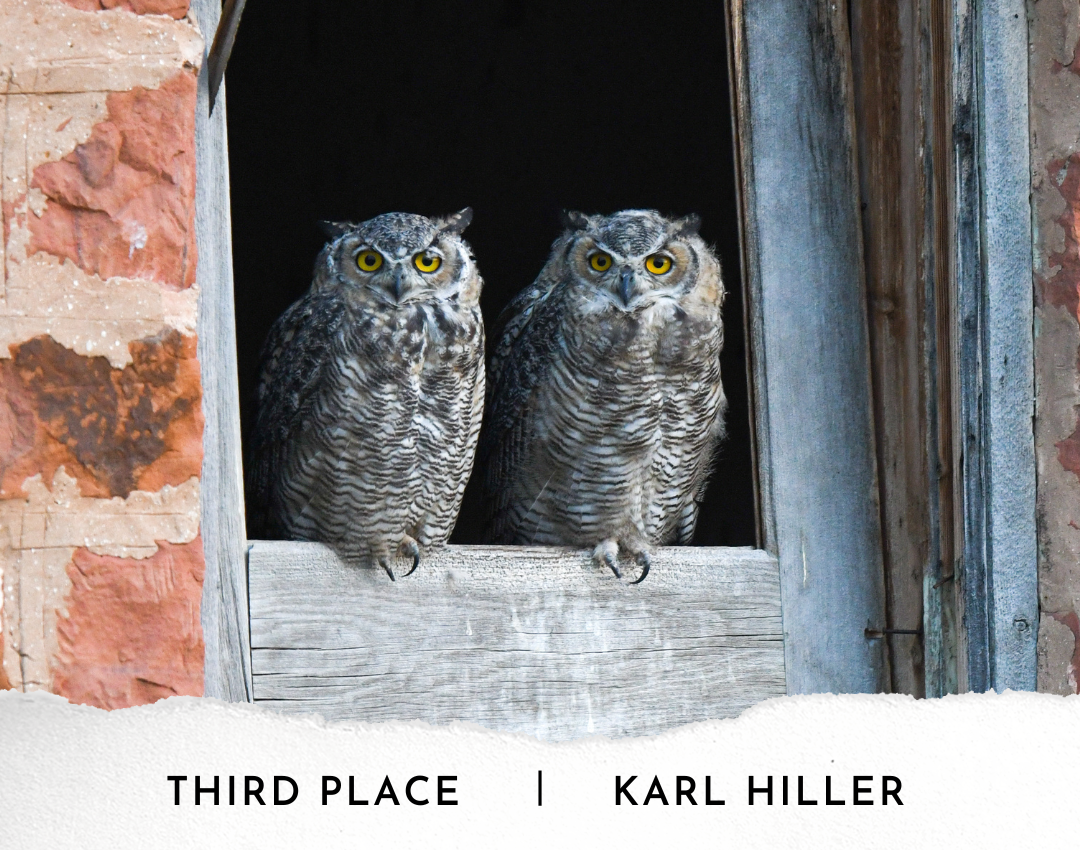 2023 Photo Contest-Third Place-Karl-Hiller